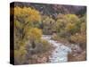 Virgin River and Fremont Cottonwoods, Zion National Park, Utah, USA-Jamie & Judy Wild-Stretched Canvas