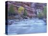 Virgin River and Honeycomb Rocks Area, Zion National Park, Utah, USA-Jamie & Judy Wild-Stretched Canvas