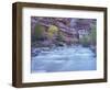 Virgin River and Honeycomb Rocks Area, Zion National Park, Utah, USA-Jamie & Judy Wild-Framed Photographic Print