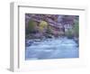 Virgin River and Honeycomb Rocks Area, Zion National Park, Utah, USA-Jamie & Judy Wild-Framed Photographic Print