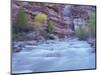 Virgin River and Honeycomb Rocks Area, Zion National Park, Utah, USA-Jamie & Judy Wild-Mounted Photographic Print