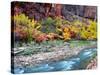 Virgin River and Rock Face at Big Bend, Zion National Park, Springdale, Utah, USA-null-Stretched Canvas