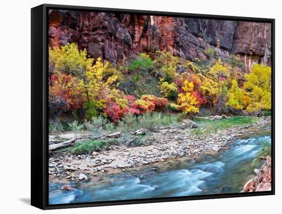 Virgin River and Rock Face at Big Bend, Zion National Park, Springdale, Utah, USA-null-Framed Stretched Canvas