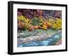 Virgin River and Rock Face at Big Bend, Zion National Park, Springdale, Utah, USA-null-Framed Photographic Print