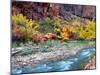 Virgin River and Rock Face at Big Bend, Zion National Park, Springdale, Utah, USA-null-Mounted Photographic Print