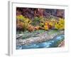 Virgin River and Rock Face at Big Bend, Zion National Park, Springdale, Utah, USA-null-Framed Photographic Print