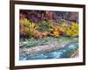 Virgin River and Rock Face at Big Bend, Zion National Park, Springdale, Utah, USA-null-Framed Photographic Print