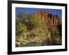 Virgin River Below the Watchmen, Zion National Park, Utah, USA-Charles Gurche-Framed Photographic Print