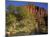 Virgin River Below the Watchmen, Zion National Park, Utah, USA-Charles Gurche-Mounted Photographic Print