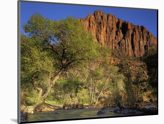 Virgin River Below the Watchmen, Zion National Park, Utah, USA-Charles Gurche-Mounted Photographic Print