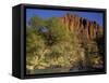 Virgin River Below the Watchmen, Zion National Park, Utah, USA-Charles Gurche-Framed Stretched Canvas