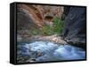 Virgin River Flowing Through the Virgin Narrows, Zion National Park, Utah, USA-Lee Frost-Framed Stretched Canvas