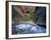 Virgin River Flowing Through the Virgin Narrows, Zion National Park, Utah, USA-Lee Frost-Framed Photographic Print