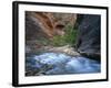 Virgin River Flowing Through the Virgin Narrows, Zion National Park, Utah, USA-Lee Frost-Framed Photographic Print