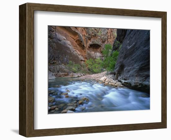 Virgin River Flowing Through the Virgin Narrows, Zion National Park, Utah, USA-Lee Frost-Framed Photographic Print