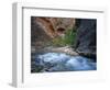 Virgin River Flowing Through the Virgin Narrows, Zion National Park, Utah, USA-Lee Frost-Framed Photographic Print