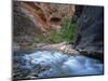 Virgin River Flowing Through the Virgin Narrows, Zion National Park, Utah, USA-Lee Frost-Mounted Photographic Print