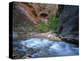 Virgin River Flowing Through the Virgin Narrows, Zion National Park, Utah, USA-Lee Frost-Stretched Canvas