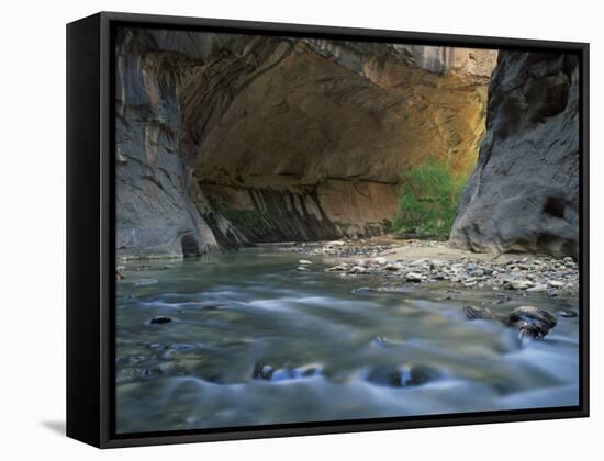 Virgin River Flows Beneath Overhanging Cliff in the Zion National Park in Utah, USA-null-Framed Stretched Canvas