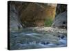 Virgin River Flows Beneath Overhanging Cliff in the Zion National Park in Utah, USA-null-Stretched Canvas