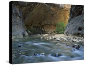 Virgin River Flows Beneath Overhanging Cliff in the Zion National Park in Utah, USA-null-Stretched Canvas