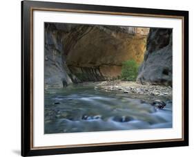 Virgin River Flows Beneath Overhanging Cliff in the Zion National Park in Utah, USA-null-Framed Photographic Print