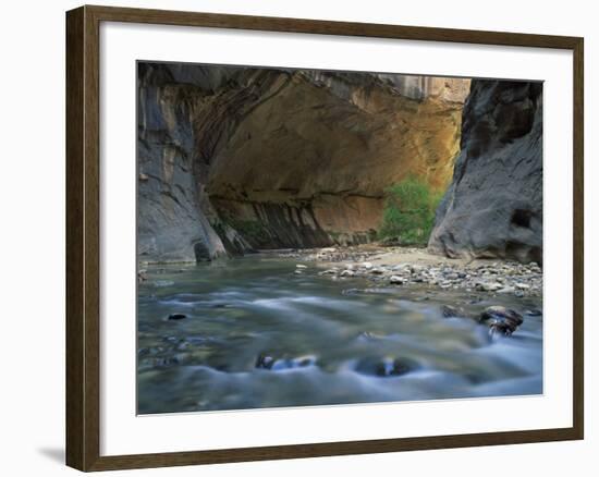 Virgin River Flows Beneath Overhanging Cliff in the Zion National Park in Utah, USA-null-Framed Photographic Print