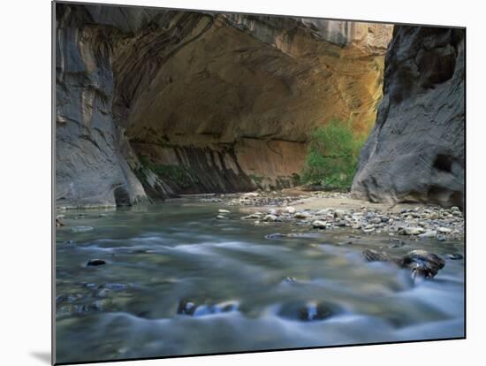 Virgin River Flows Beneath Overhanging Cliff in the Zion National Park in Utah, USA-null-Mounted Photographic Print