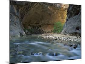 Virgin River Flows Beneath Overhanging Cliff in the Zion National Park in Utah, USA-null-Mounted Photographic Print