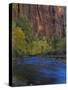 Virgin River Flows Through Zion Canyon, Utah, USA-Jerry Ginsberg-Stretched Canvas