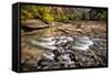 Virgin River II-Danny Head-Framed Stretched Canvas