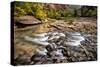 Virgin River II-Danny Head-Stretched Canvas