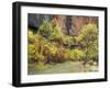 Virgin River in the Upper Zion Region, Zion National Park, Utah, USA-Jamie & Judy Wild-Framed Photographic Print