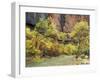 Virgin River in the Upper Zion Region, Zion National Park, Utah, USA-Jamie & Judy Wild-Framed Photographic Print