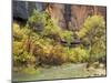 Virgin River in the Upper Zion Region, Zion National Park, Utah, USA-Jamie & Judy Wild-Mounted Photographic Print