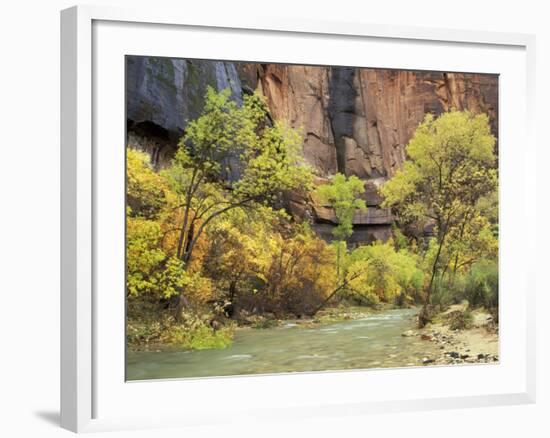 Virgin River in the Upper Zion Region, Zion National Park, Utah, USA-Jamie & Judy Wild-Framed Photographic Print