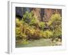 Virgin River in the Upper Zion Region, Zion National Park, Utah, USA-Jamie & Judy Wild-Framed Photographic Print