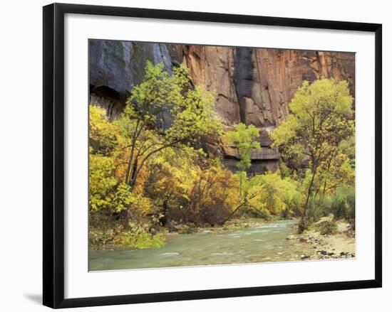 Virgin River in the Upper Zion Region, Zion National Park, Utah, USA-Jamie & Judy Wild-Framed Photographic Print