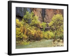 Virgin River in the Upper Zion Region, Zion National Park, Utah, USA-Jamie & Judy Wild-Framed Photographic Print