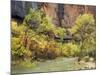 Virgin River in the Upper Zion Region, Zion National Park, Utah, USA-Jamie & Judy Wild-Mounted Photographic Print