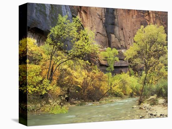 Virgin River in the Upper Zion Region, Zion National Park, Utah, USA-Jamie & Judy Wild-Stretched Canvas