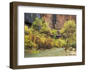 Virgin River in the Upper Zion Region, Zion National Park, Utah, USA-Jamie & Judy Wild-Framed Photographic Print