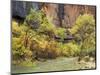 Virgin River in the Upper Zion Region, Zion National Park, Utah, USA-Jamie & Judy Wild-Mounted Photographic Print