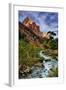 Virgin River Morning View, Zion National Park, Utah-Vincent James-Framed Photographic Print