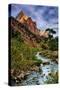 Virgin River Morning View, Zion National Park, Utah-Vincent James-Stretched Canvas