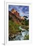 Virgin River Morning View, Zion National Park, Utah-Vincent James-Framed Premium Photographic Print