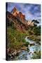 Virgin River Morning View, Zion National Park, Utah-Vincent James-Stretched Canvas