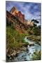 Virgin River Morning View, Zion National Park, Utah-Vincent James-Mounted Photographic Print
