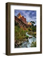 Virgin River Morning View, Zion National Park, Utah-Vincent James-Framed Photographic Print