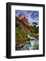 Virgin River Morning View, Zion National Park, Utah-Vincent James-Framed Photographic Print